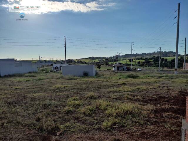 Área para Venda em São Miguel do Iguaçu - 5