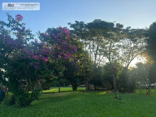 #19 - Chácara para Venda em São Miguel do Iguaçu - PR